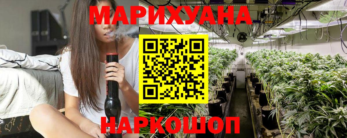 Канабис сатива Новошахтинск